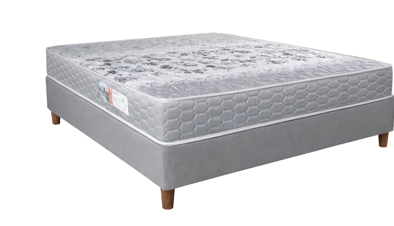 Conjunto Box Coala D33
